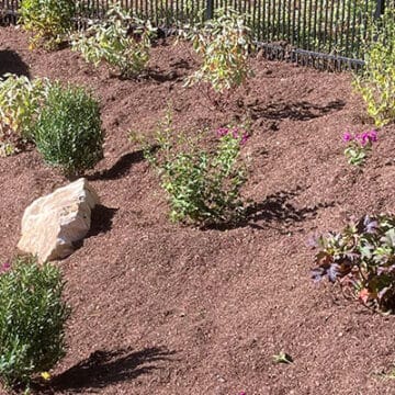 garden in radnor, PA