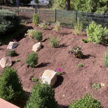 Updated garden on a hill in Radnor