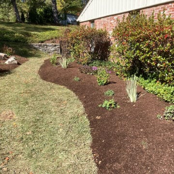 New plantings in Radnor