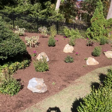 Low-maintenace garden in Radnor