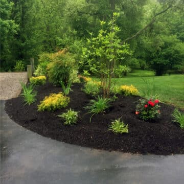 Front Yard Garden