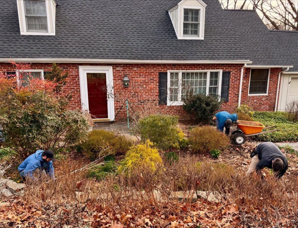 cleaning up naturescapes