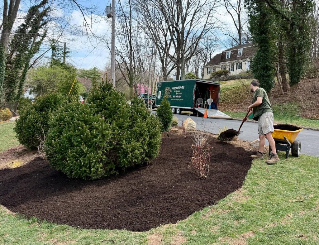naturescapes team working