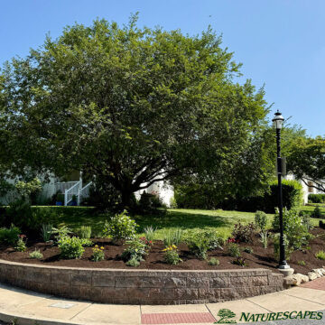 front yard landscaping