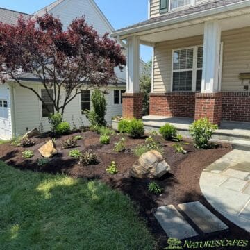 malvern front step