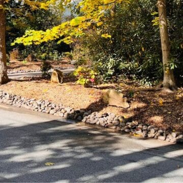 woodland wayne header