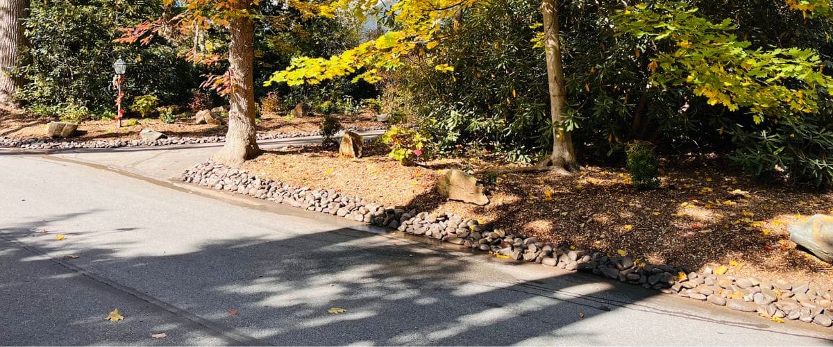 woodland wayne header